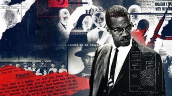 Who Killed Malcolm X? (2019)