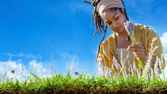 Farming Is Life (2023- )