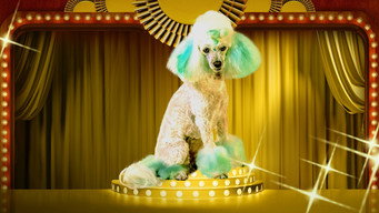 Haute Dog (2020- )