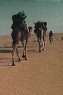 La dernière guémaré des Némadis poster