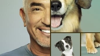#7 Cesar Millan: Better Human Better Dog
