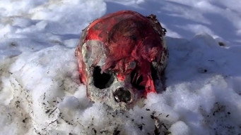 Camp Blood First Slaughter (2014)