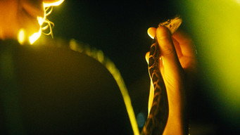 #5 The Python Hunt