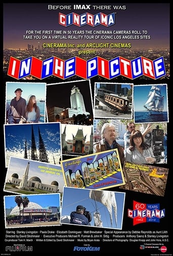 Poster of In the Picture