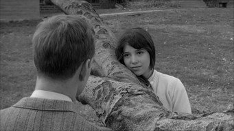 #11 David and Lisa