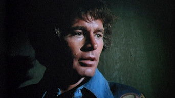 Episode 1 — Do You Still Beat Your Wife?