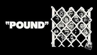 Pound media image