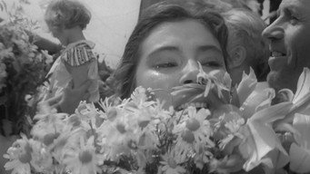 #13 Летять журавлі