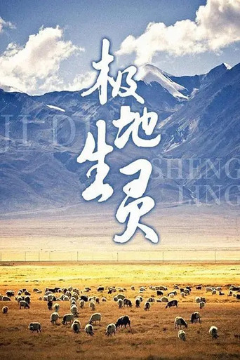 极地生灵 poster