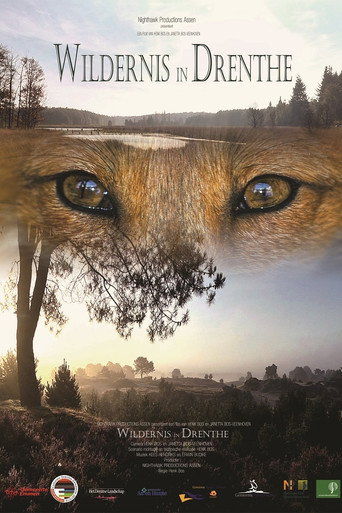 Wildernis in Drenthe (2016)