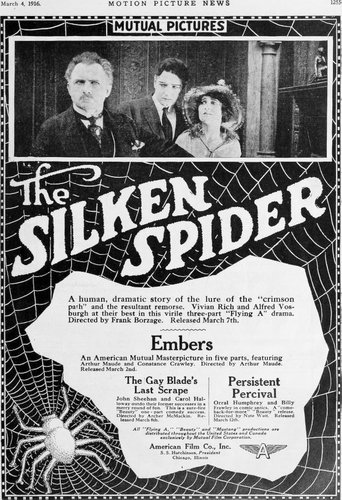 The Silken Spider (1916)