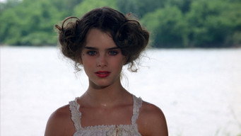 #13 Pretty Baby