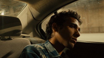 Anemoia media image