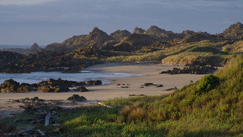 Tasmanias Wild Treasures (2026- )
