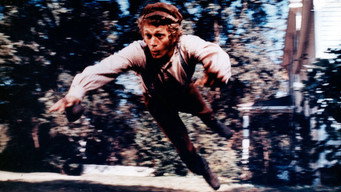 #9 The Reivers