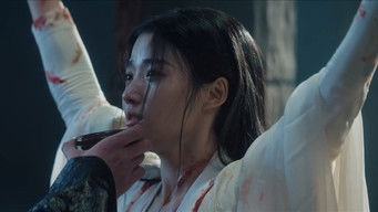 Aflevering 14 — The Second Trial