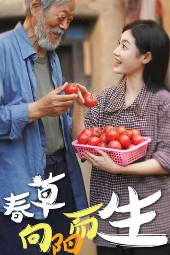 春草向阳而生 poster