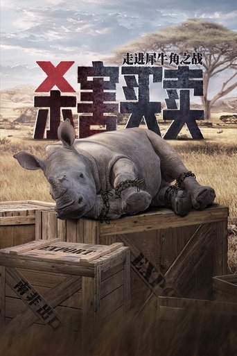 杀害买卖：带你走进犀牛角之战