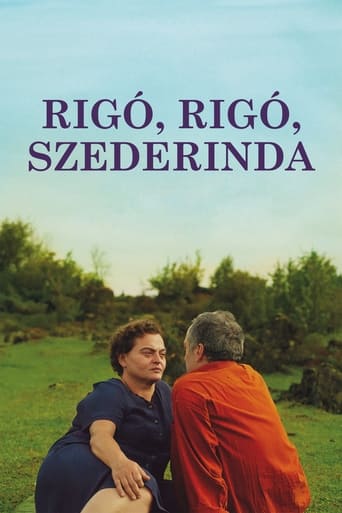 Rigó, rigó, szederinda