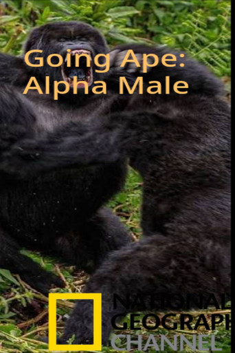 Going Ape: Alpha Male