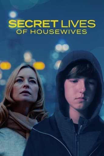 Poster of Secret Lives Of Housewives