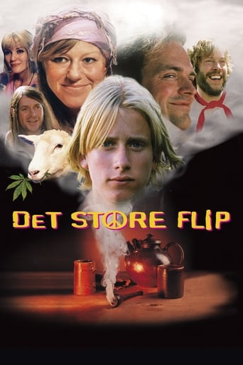 Poster of Det store flip