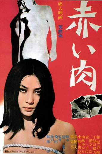 赤い肉