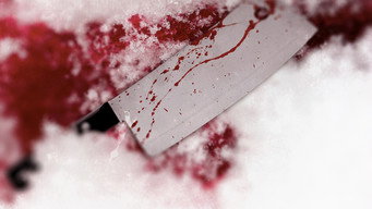 True Nordic Crimes (2015)