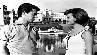 Acompáñame (1966)