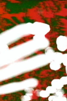 IXIR: Journals of Lapping Waters poster