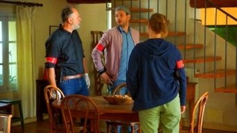 Cena de Como cachorro e gato