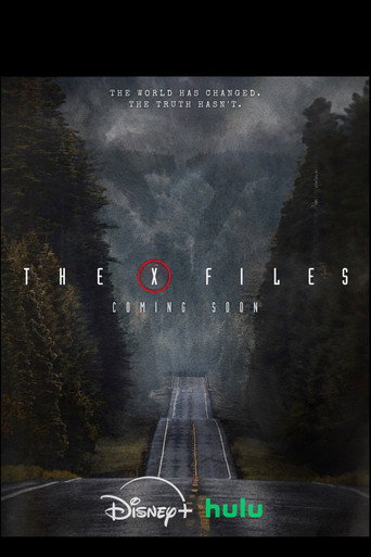 The X-Files