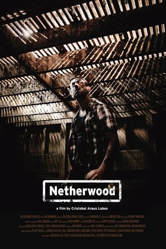 Poster för Netherwood