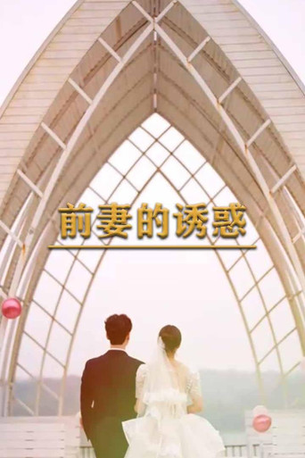 前妻的诱惑 poster