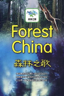Forest China poster