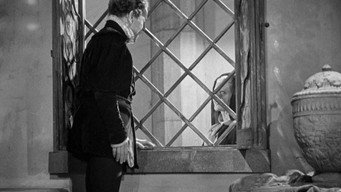 The Magnificent Rogue (1935)