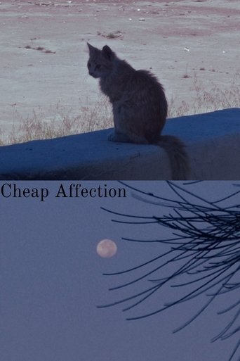 Cheap Affection