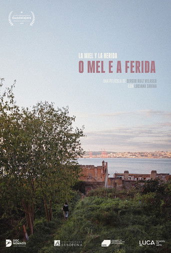 O mel e a ferida