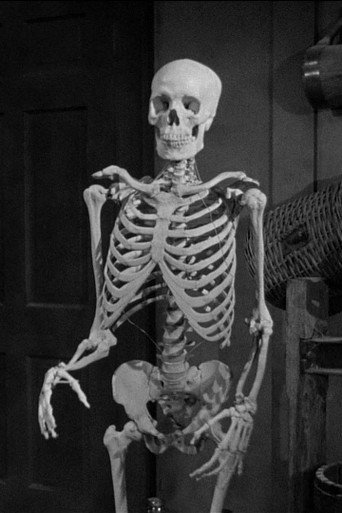 Skeleton