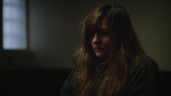 The Snare (2026)