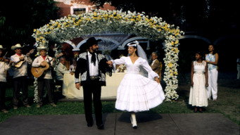 #5 Huapango