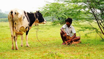 #11 Vaazhai