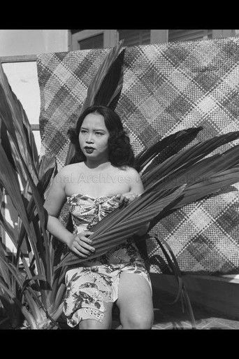 Foto de Siput Sarawak