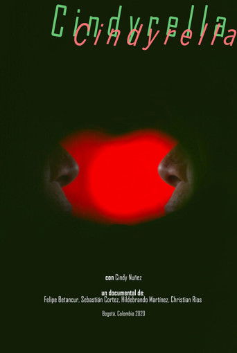 Cindyrella poster