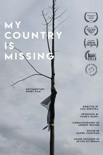 My Country is Missing poster