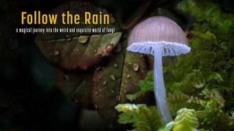 Follow the Rain (2024)