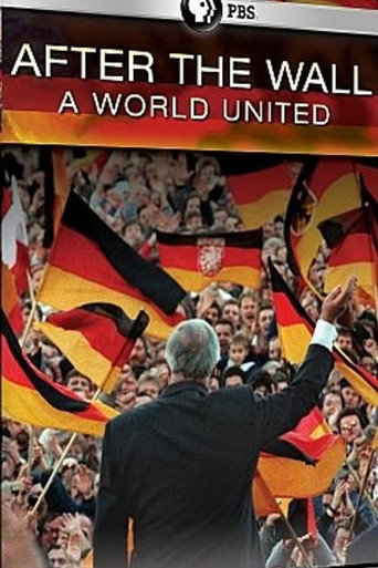After the Wall: A World United (2011)