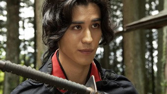 Last Ninja: Red Shadow (2019)