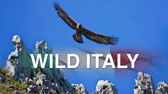 Wild Italy (2014- )