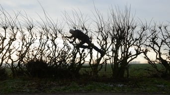 #4 Leaning Into the Wind: Andy Goldsworthy